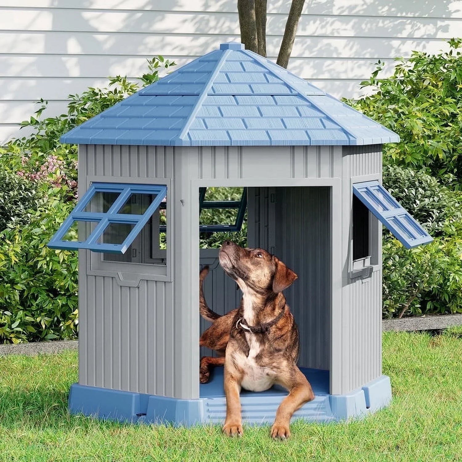 Pet Homes