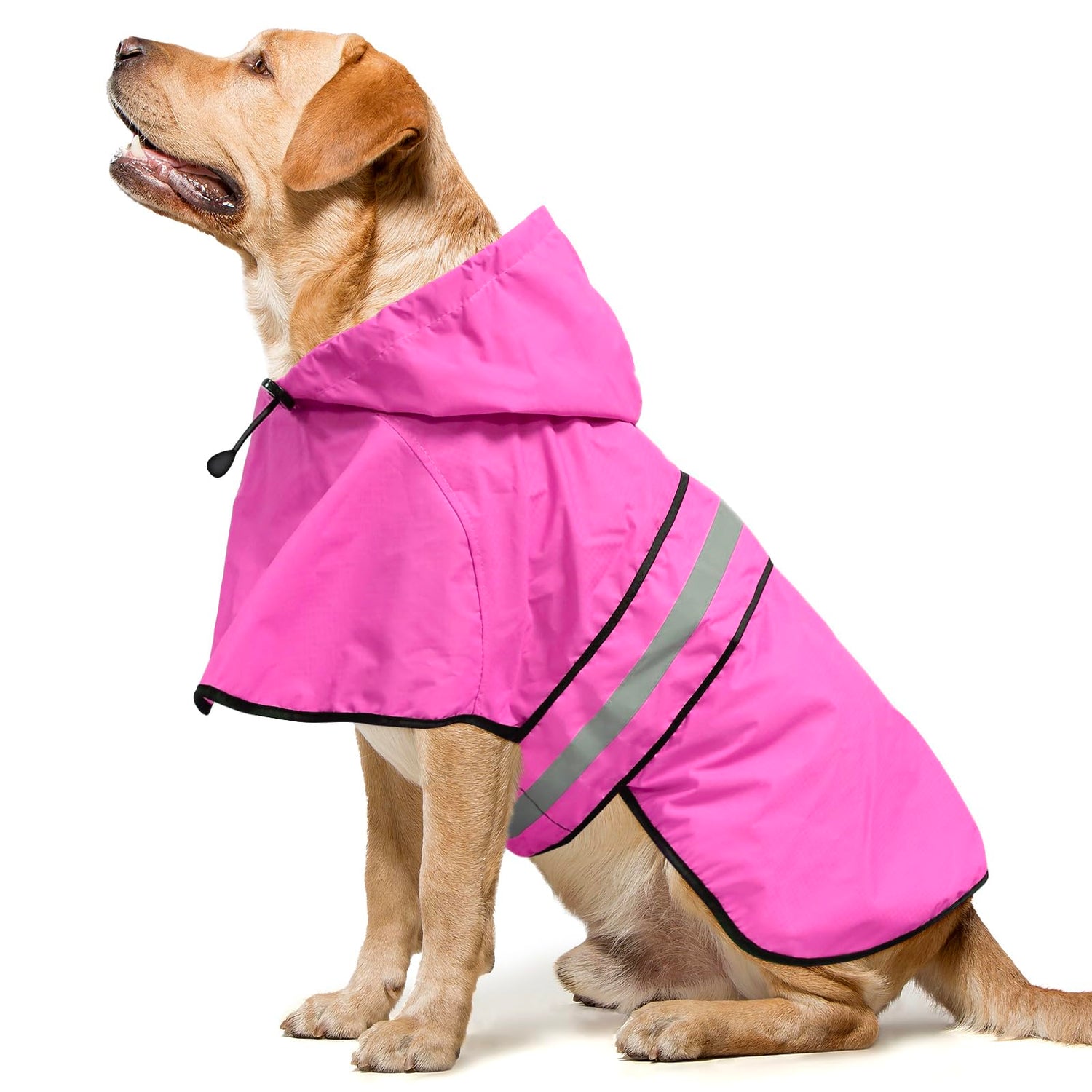 Raincoats