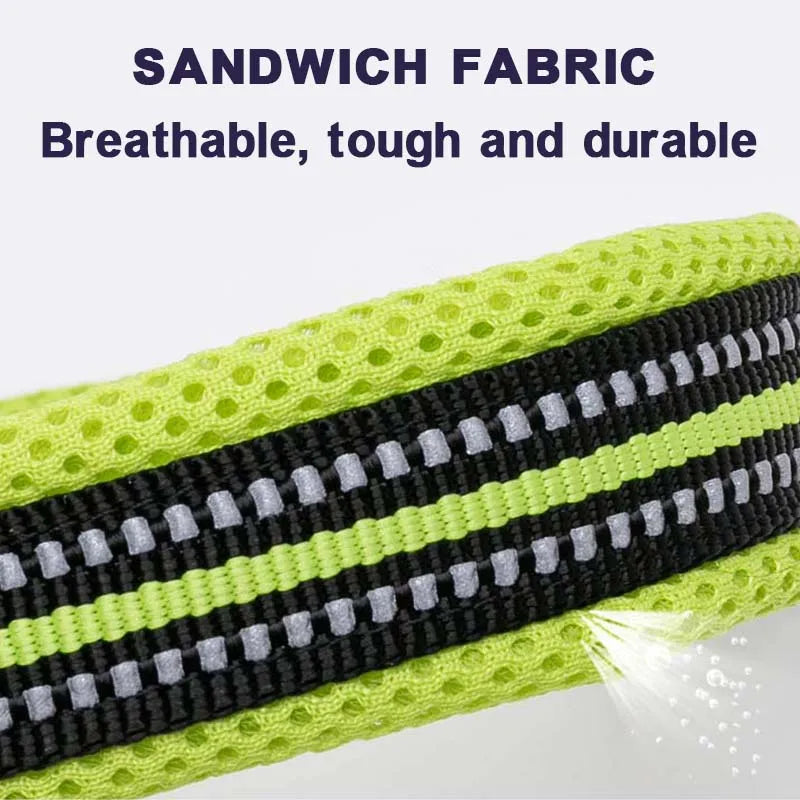 Dog Walking Collar Comfort Padded with Buckle Nylon Traveling Collar Tactical Dog Supplies 11 Colors Size XXS-XXXL