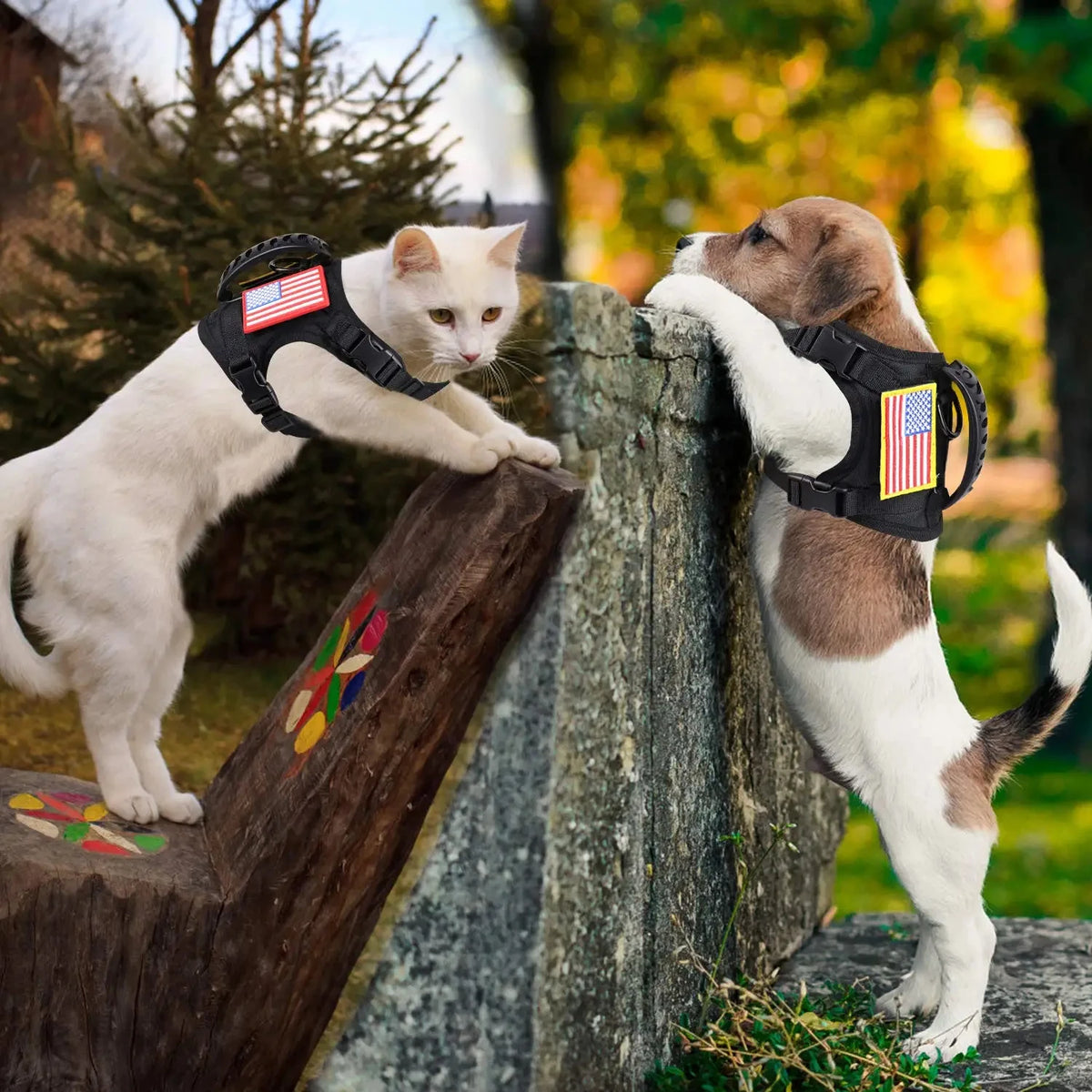 Tactical Cat or 
Puppy Harness Leash Set For Small Dogs Adjustable Cat Harnesses Vest For Training Walking Military Cats Dog Accessories