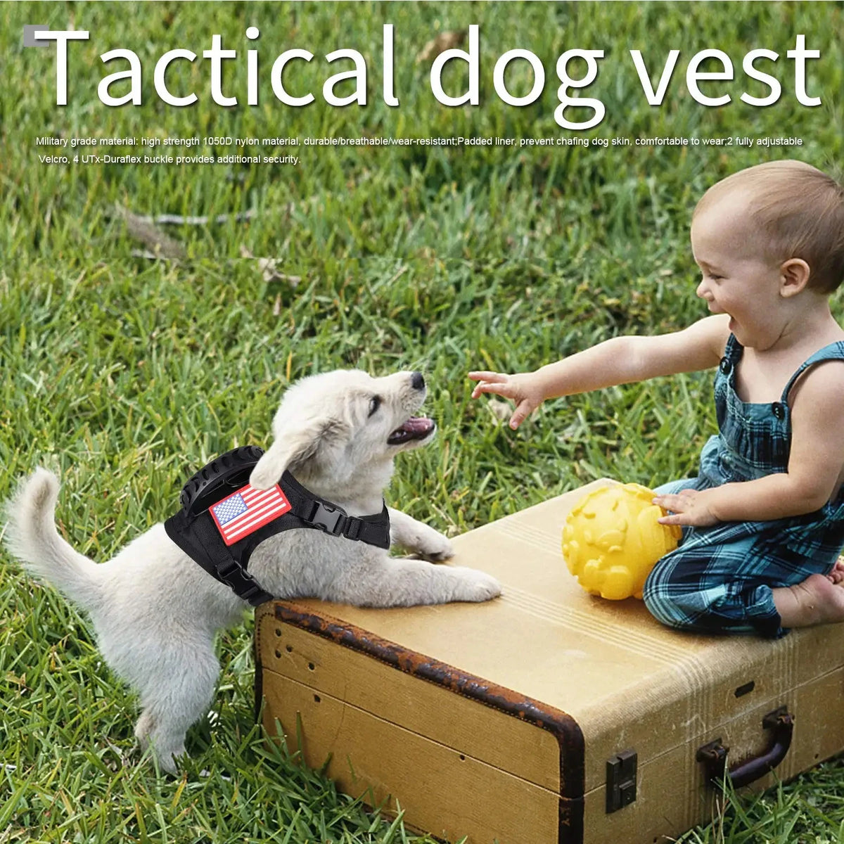 Tactical Cat or 
Puppy Harness Leash Set For Small Dogs Adjustable Cat Harnesses Vest For Training Walking Military Cats Dog Accessories