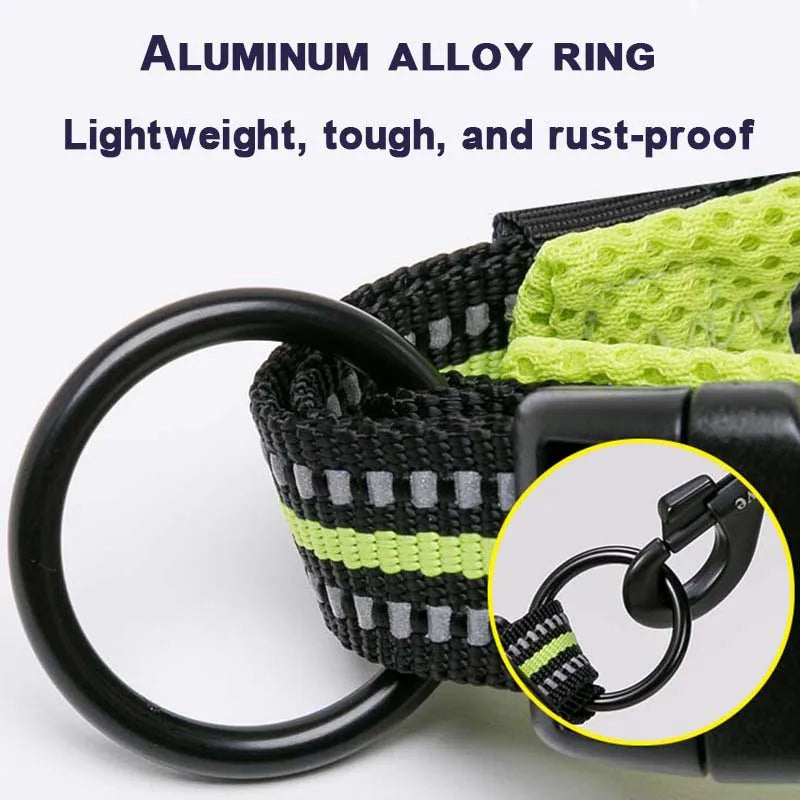 Dog Walking Collar Comfort Padded with Buckle Nylon Traveling Collar Tactical Dog Supplies 11 Colors Size XXS-XXXL