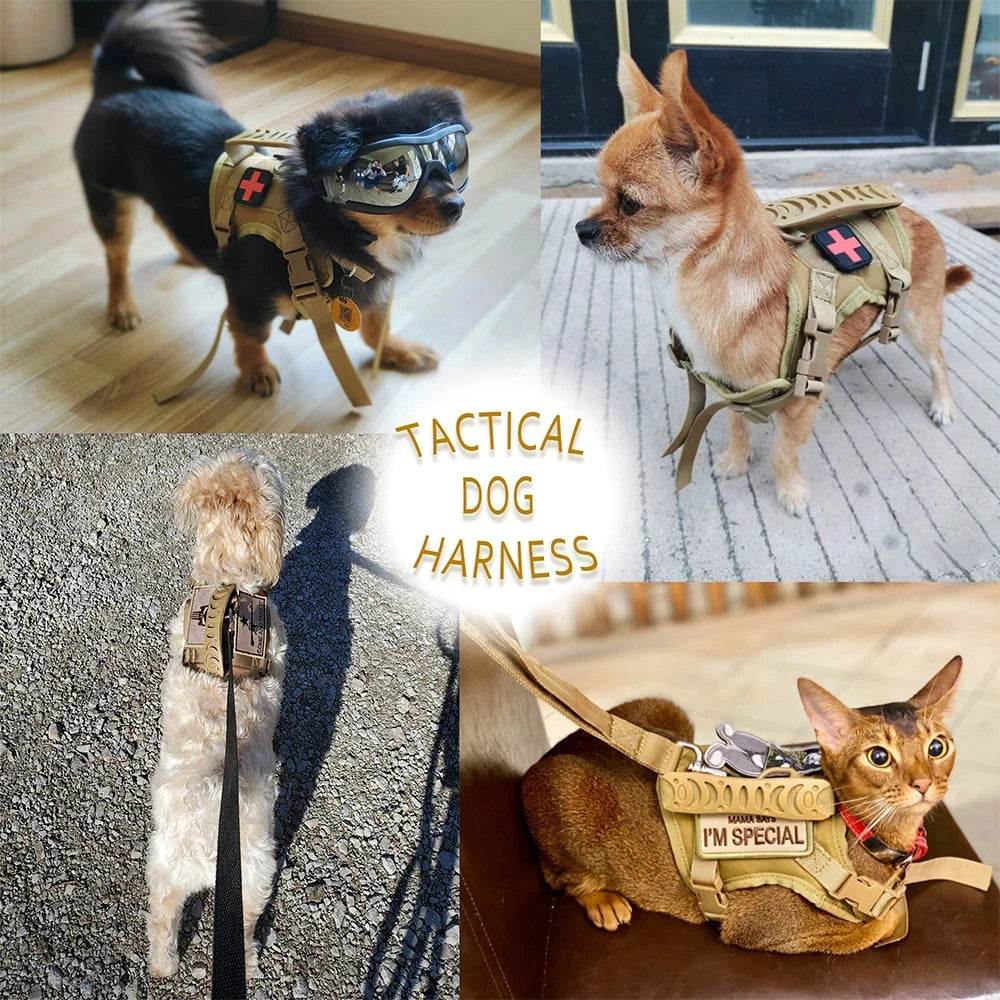 Tactical Cat or 
Puppy Harness Leash Set For Small Dogs Adjustable Cat Harnesses Vest For Training Walking Military Cats Dog Accessories