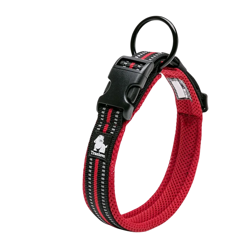 Dog Walking Collar Comfort Padded with Buckle Nylon Traveling Collar Tactical Dog Supplies 11 Colors Size XXS-XXXL